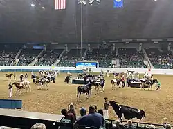 Interior, during the 2022 Minnesota State Fair