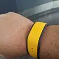 Disney Magicband and MyMagic+ (c. 2015)[31][32]