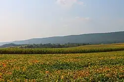 Line Mountain in Upper Mahanoy Township