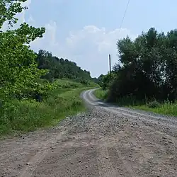 Thumbnail image of wooded area in Little Indian Creek WMA