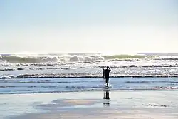 Lone surfer on Piha Beach, Auckland, NZ