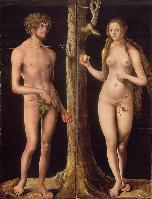 Musée des Beaux-Arts et d'Archéologie de Besançon, 1508–1510 (see Adam and Eve (Cranach, Besançon))