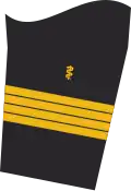 Flottenarzt (Naval Medical Officer with the equivalent rank of Captain)