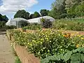 Raised flower beds and growing tunnels