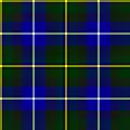 MacNeil of Barra tartan. Has been the standard MacNeil tartan for over a century.[27]