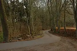 Main path near the crossing of the Killen Burn