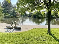 Swan sculptures near pond.