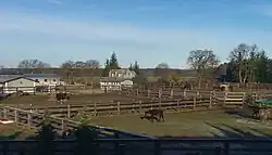 Horse stud farm in Marcelewo (2024)