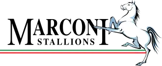 Logo of "Marconi Stallions"