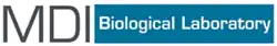 MDI Biological Laboratory logo