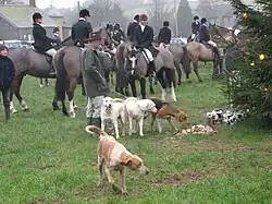 Fox hounds and huntsmen on horseback on a village green
