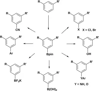 Meta-functionalization of arenes through C–H borylation