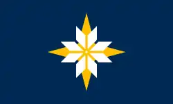 F29 "Starflake Flag" (2023)