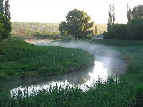 Mist over the Luhanka River