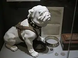 Model of Pelorus Jack at the Auckland Museum