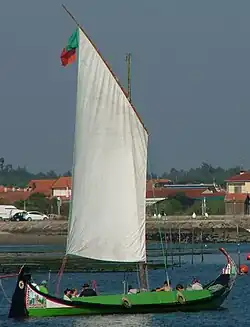 A moliceiro under sail