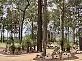 Mount Gravatt Cemetery (2019).