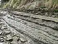 Sandstone and mudstone layers