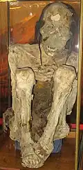Mummy found in the Atacama Desert