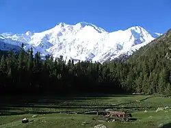 View of Nanga Parbat from Fairy Meadows