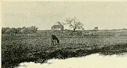 Maqam (shrine) of Neby Burk, in 1898[1]
