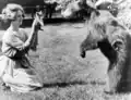 Photograph of Nell Shipman and a bear