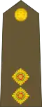 Lieutenant (New Zealand Army)[57]