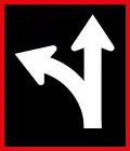 This Lane May Proceed Straight or Turn Left