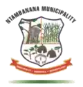 Official seal of Ntambanana