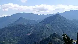 Nusu Ridge in Bududa District.