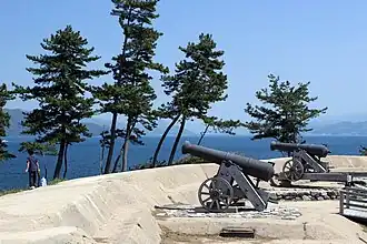 Obama Domain Battery Sites