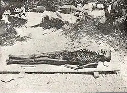 Skeleton of king Tabnit