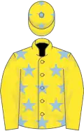 Yellow, light blue stars on body and cap