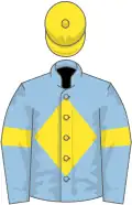 Light blue, yellow diamond on body