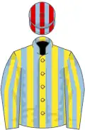 Yellow and light blue stripes, light blue and yellow striped sleeves, light blue and red striped cap