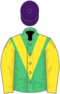 Emerald Green, yellow chevron and sleeves, purple cap