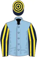Light blue, dark blue and yellow striped sleeves, hooped cap