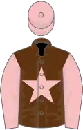 BROWN, pink star, pink sleeves and cap