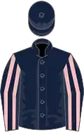 Royal blue, pink stripes on sleeves, royal blue cap