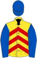 Yellow, red chevrons, royal blue sleeves and cap