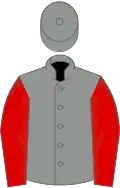 Grey, red sleeves, grey cap
