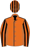 Orange, black seams, striped sleeves and cap