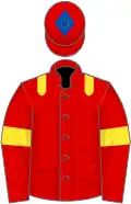 Red, yellow epaulets and armlets, royal blue diamond on cap
