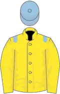 Yellow, light blue epaulettes, yellow sleeves, light blue cap