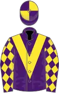 Purple, yellow chevron, diamonds on sleeves, quartered cap