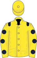 Yellow, dark blue epaulets, yellow sleeves, dark blue spots
