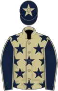 Beige, dark blue stars, dark blue sleeves, beige seams, dark blue cap, beige star