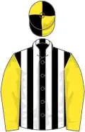 Black and white stripes, yellow sleeves, yellow and black quartered cap