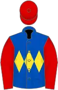 Royal blue, yellow triple diamond, red sleeves and cap