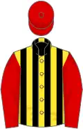 Yellow and black stripes, red sleeves and cap